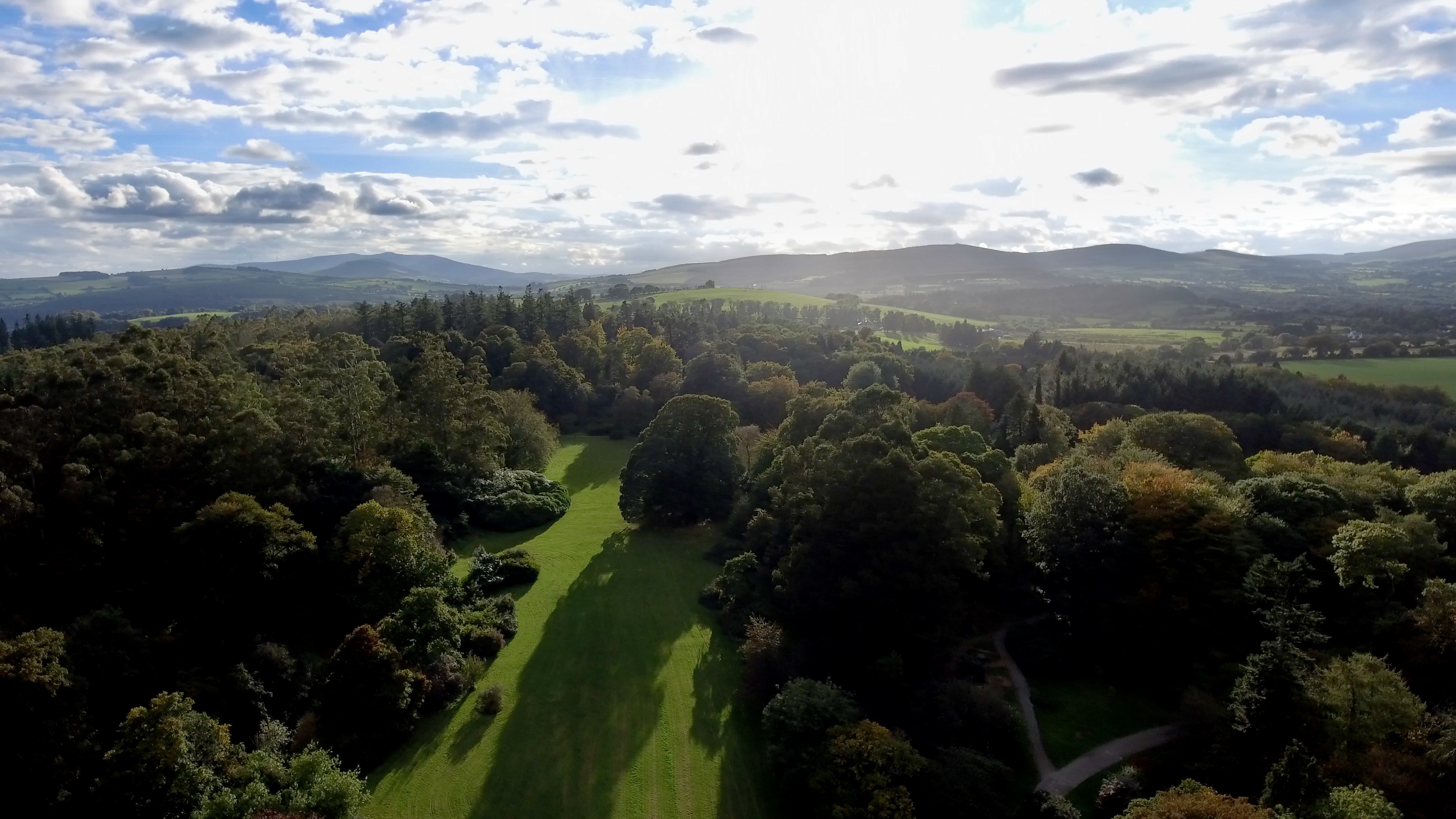 Picture of Coillte's Avondale Forest Park