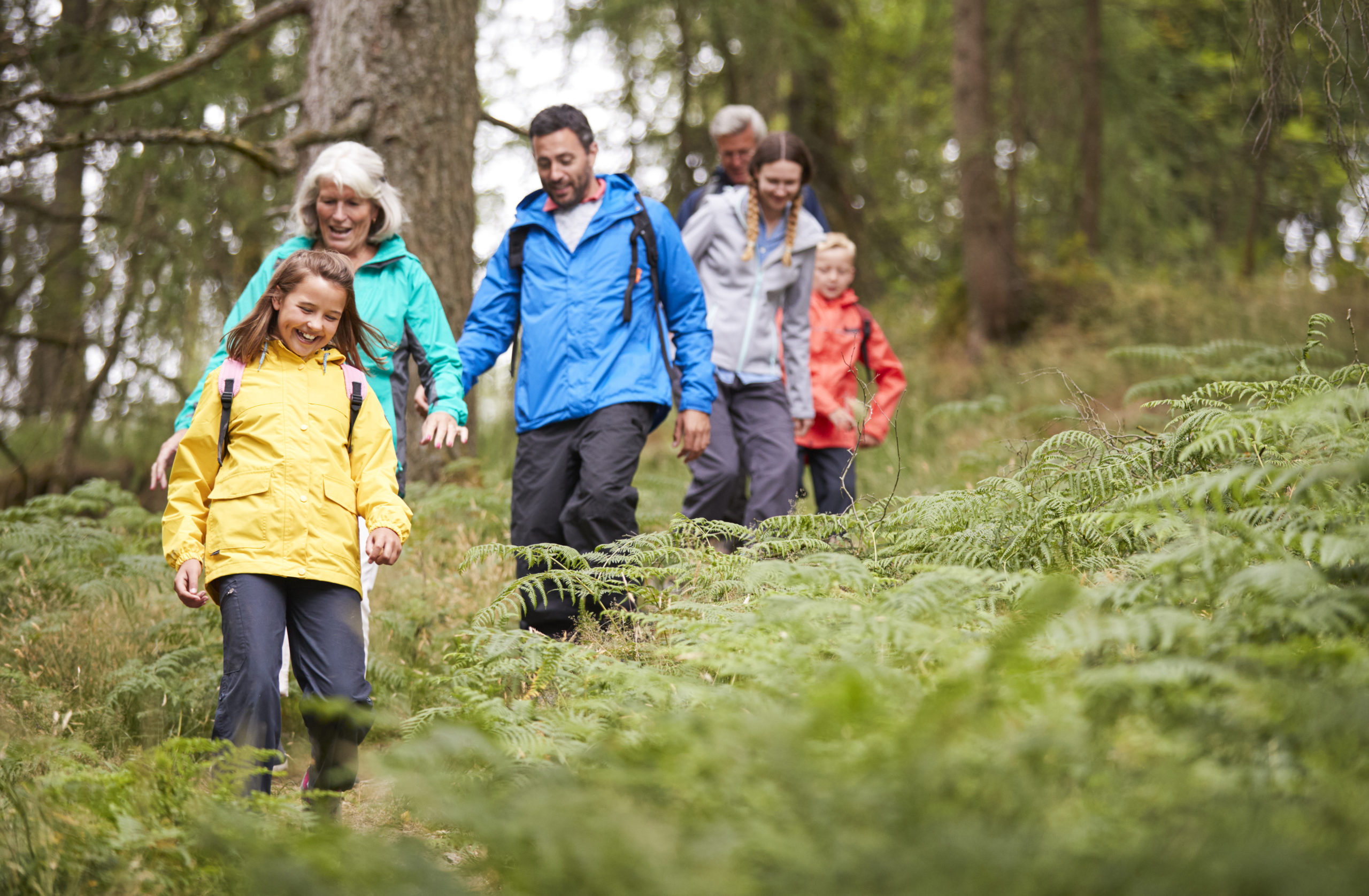 Forests for People