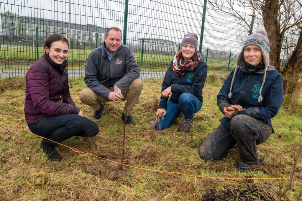 Picture of people gathered round a newly planted tree