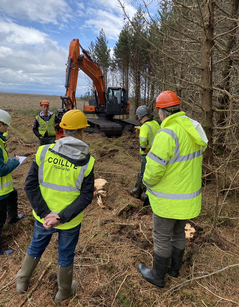 Coillte staff at Scottish bog restoration site