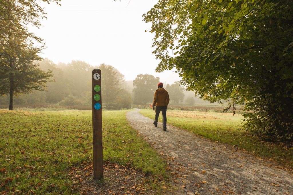 Hiker walking past a marker post along a trail in a forest park